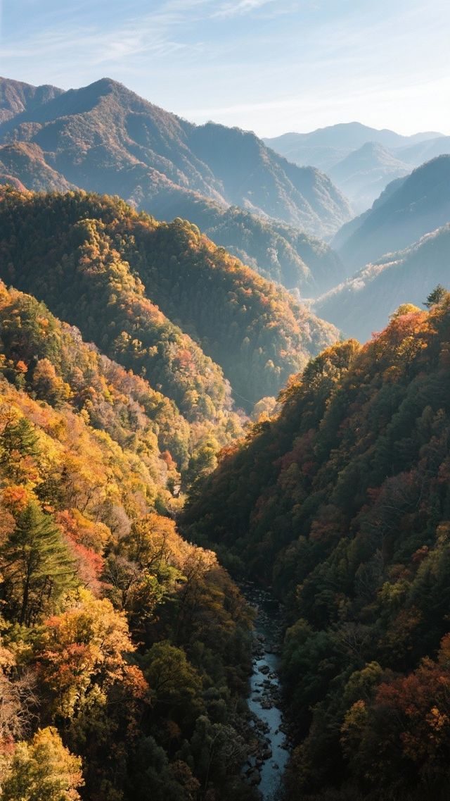 11月的光霧山四天三晚，打卡中國紅葉第一山！