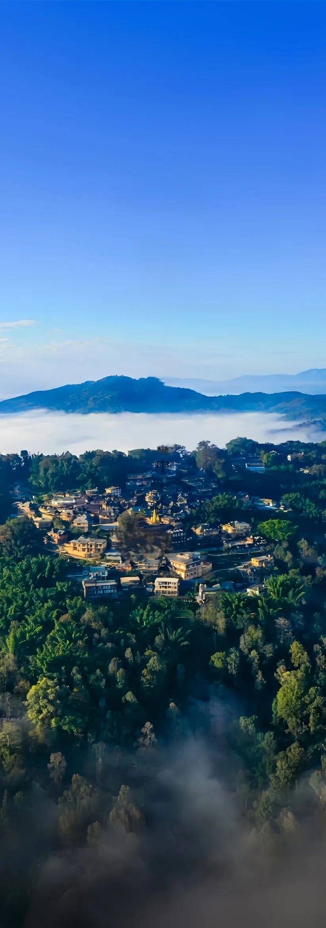 北回歸線的綠洲上,邂逅茶香與咖啡香 北回歸線的綠洲上,邂逅茶香與咖啡香