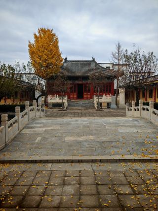 허베이 저우저우에 숨겨진 당나라 보물 천년 학궁 시간 여행