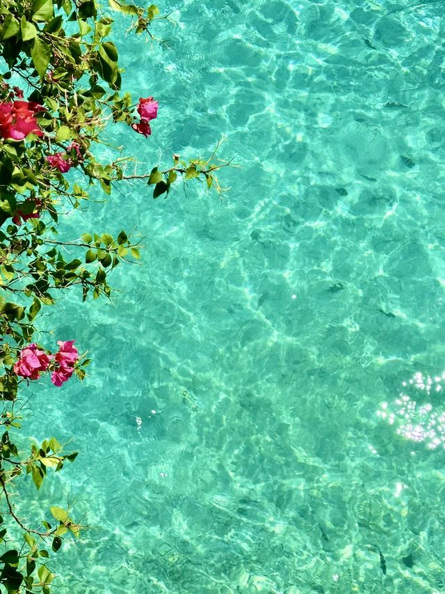 仙本那避坑指南潛水天堂的小心機vs絕美海景