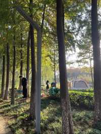 在半島世界酒店，偶遇秋日最美江濱公園