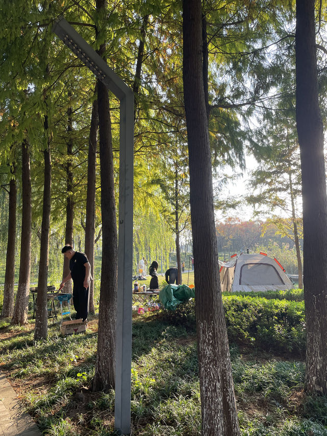 在半島世界酒店，偶遇秋日最美江濱公園