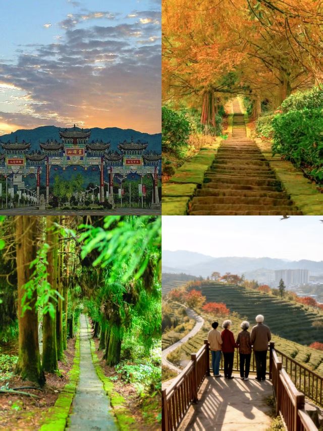 蒙頂山登天蓋寺觀雲海觸摸天空的藍