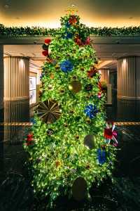 魔都外灘半島酒店超大聖誕樹已就位