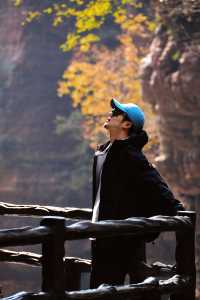 暮秋初冬的雲台山，是藏不住的治癒感