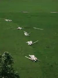 逃離人海！在郴州 30分鐘直達江邊營地