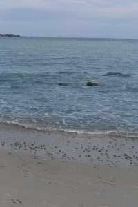 福州周邊遊|連江定海灣