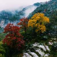 霧鎖江南·徒步雪竇嶺的水墨秘境｜初冬徒步天花板！