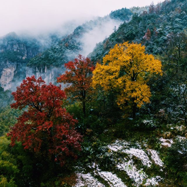 霧鎖江南·徒步雪竇嶺的水墨秘境｜初冬徒步天花板！