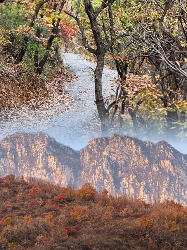 尋秋嵩山三祖庵這座金代國保太絕了！