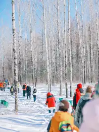 長白山隱藏玩法！帶娃徒步雪林，玩到拖不走