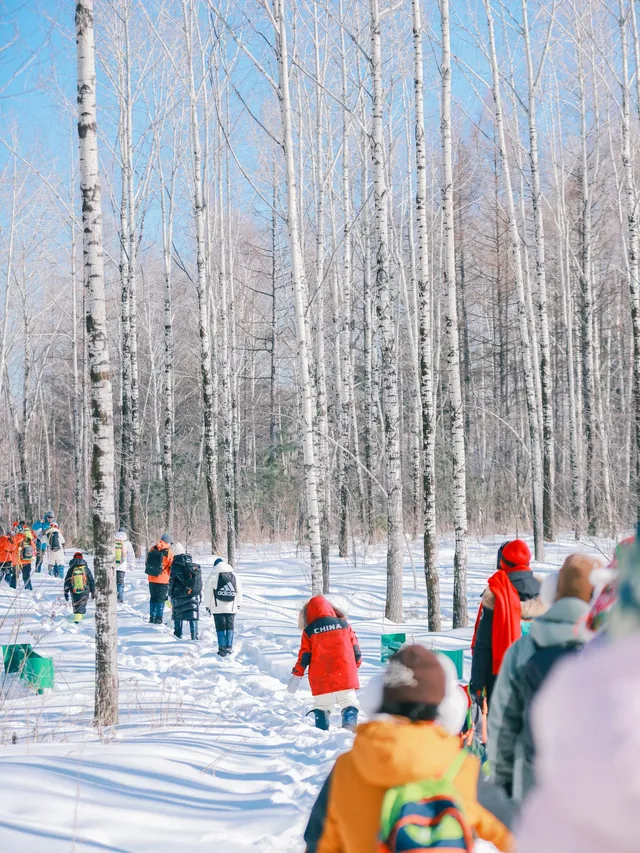長白山隱藏玩法！帶娃徒步雪林，玩到拖不走