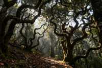 三天漫逛大姚：白塔映彝風，百草嶺藏野趣與核桃香