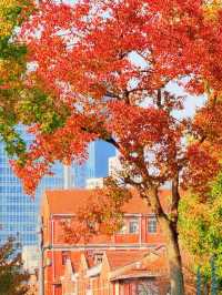 上海的秋日藝術巡禮