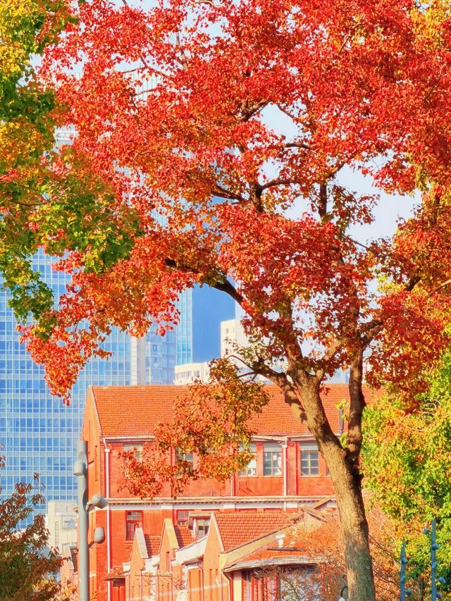 上海的秋日藝術巡禮