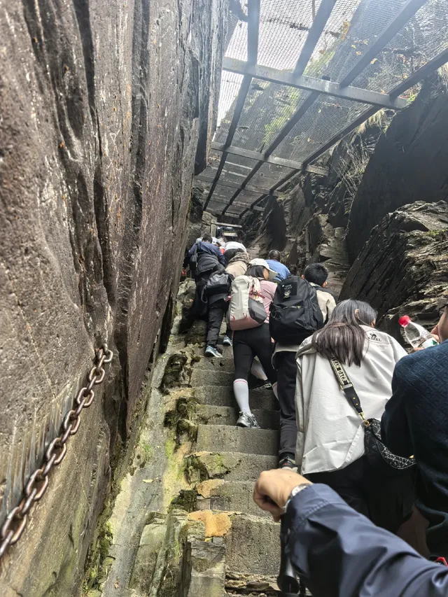 登頂梵淨山坐了最暈車的景交車