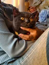 平潭這家海景民宿也太治癒了！面朝大海撸貓太幸福