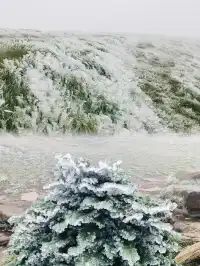 莽山的首場雪霧凇，承包南方人的限定浪漫