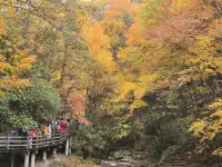 2025年11月2日到11月6日的光霧山與西安之旅