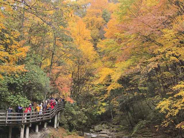 2025年11月2日到11月6日的光霧山與西安之旅