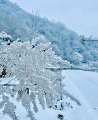 紅池壩國家森林公園霧淞美景上線