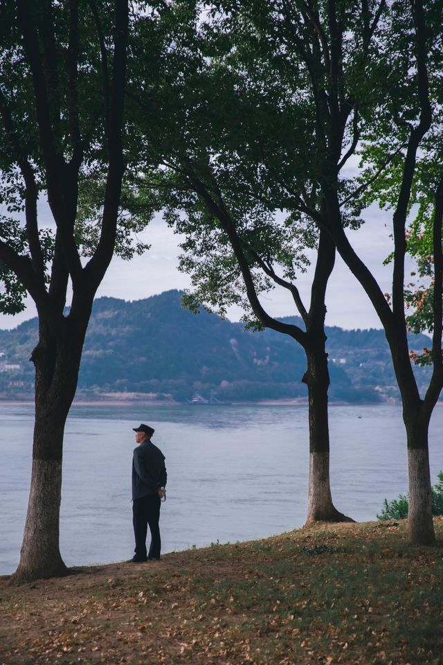 宜昌濱江:在長江岸線,邂逅老工業與深秋的詩意共鳴 宜昌濱江:在長江岸線,邂逅老工業與深秋的詩意共鳴