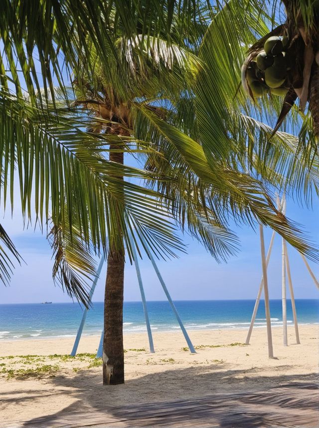 三亞1日包車遊超全攻略來襲 三亞1日包車遊超全攻略來襲