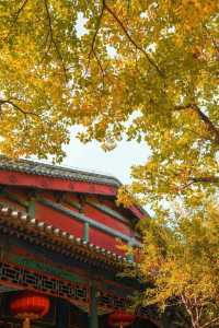 抓住北京秋天的尾巴京味皇家庭院~恭王府