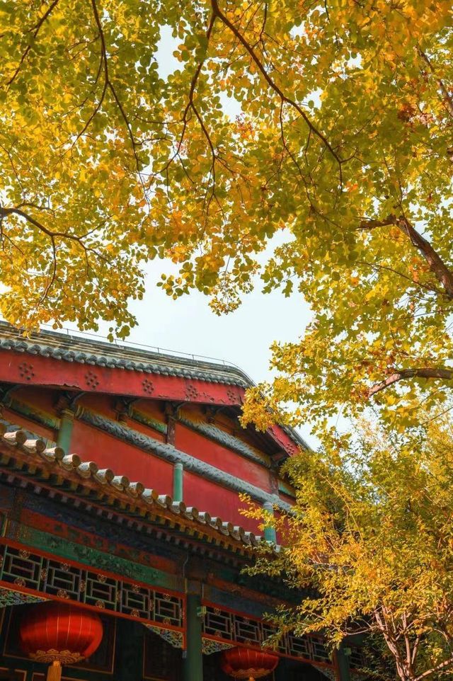 抓住北京秋天的尾巴京味皇家庭院~恭王府