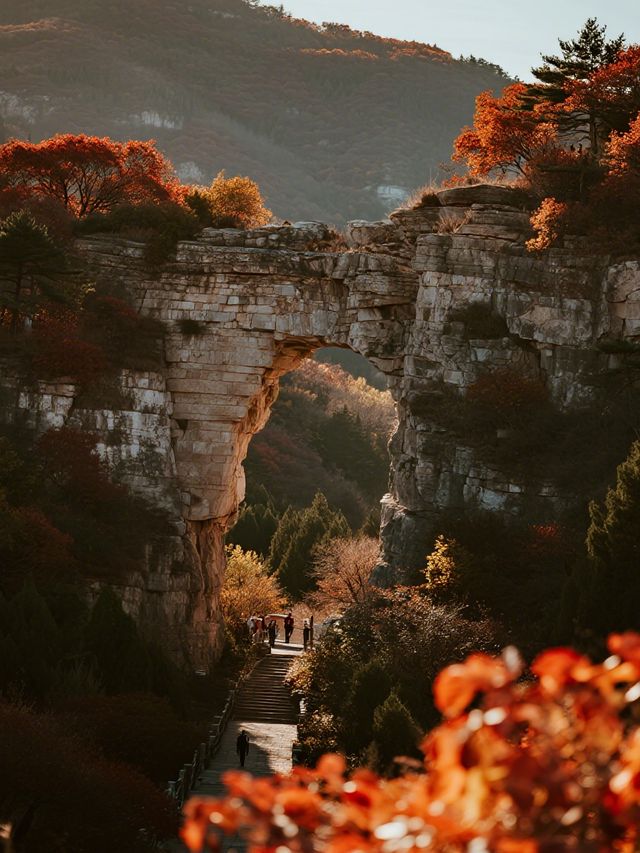 濰坊石門坊親子賞楓帶娃解鎖漫山紅葉 濰坊石門坊親子賞楓帶娃解鎖漫山紅葉