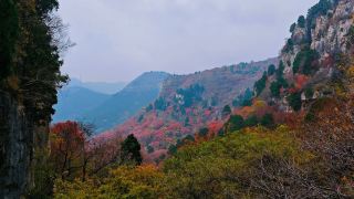 The Most Beautiful Linqu