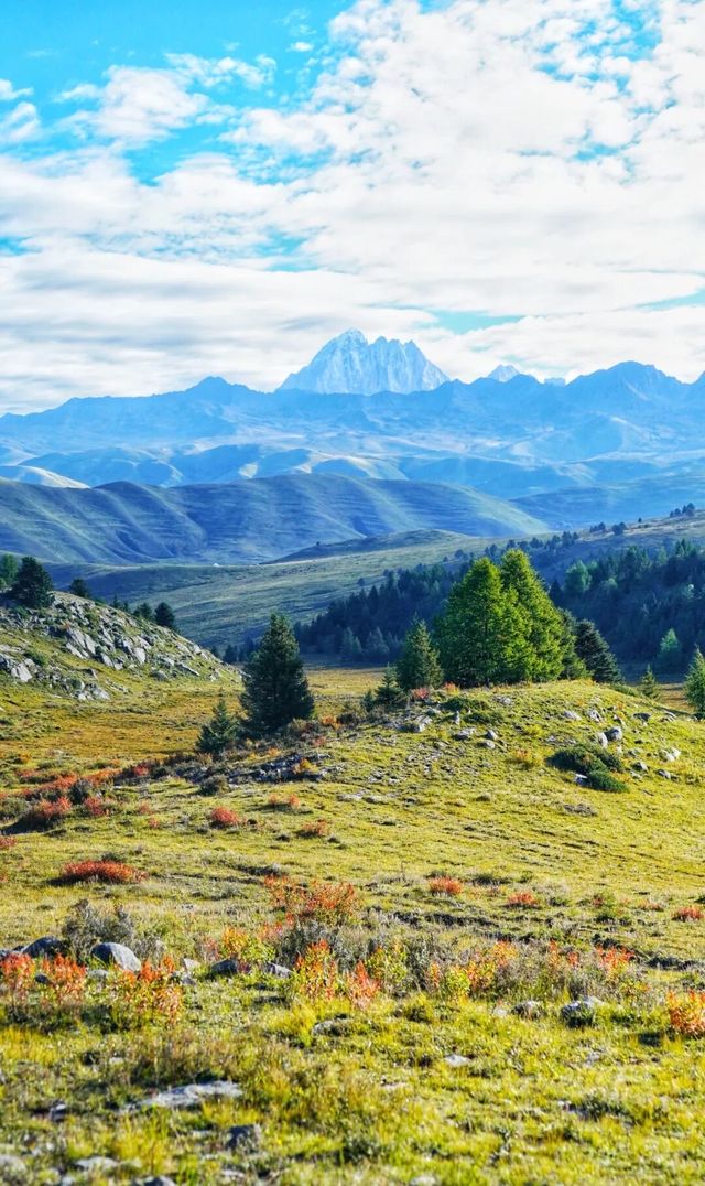 歡迎來塔公草原遊玩