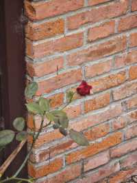 雙山島簡直就是神仙拍照地