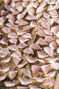 涠洲島|原來好玩好吃的都在淡季~