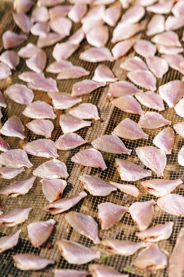 涠洲島|原來好玩好吃的都在淡季~ 涠洲島|原來好玩好吃的都在淡季~