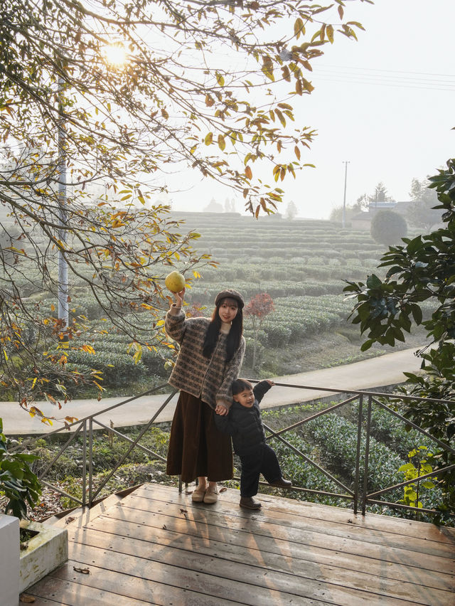雅安遛娃 |包個院子煮茶烤紅薯泡私湯 雅安遛娃 |包個院子煮茶烤紅薯泡私湯