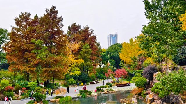 上海小京都這片楓葉階梯美到窒息!人少速來! 上海小京都這片楓葉階梯美到窒息!人少速來!