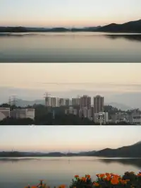 ｜抓住一個出門溜溜就好開心的濃濃