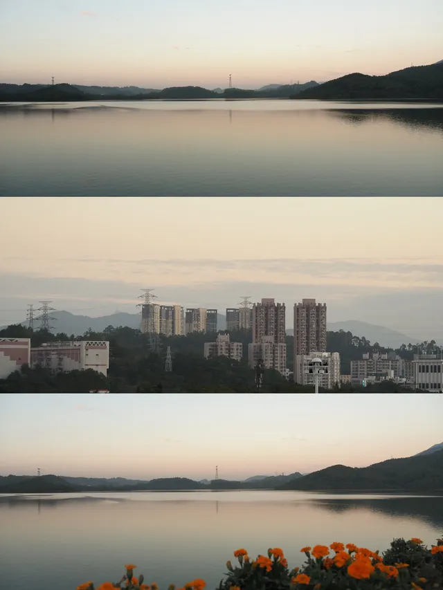 ｜抓住一個出門溜溜就好開心的濃濃