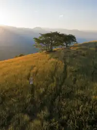 不是非洲這是雲南人自己的薩王納草原~