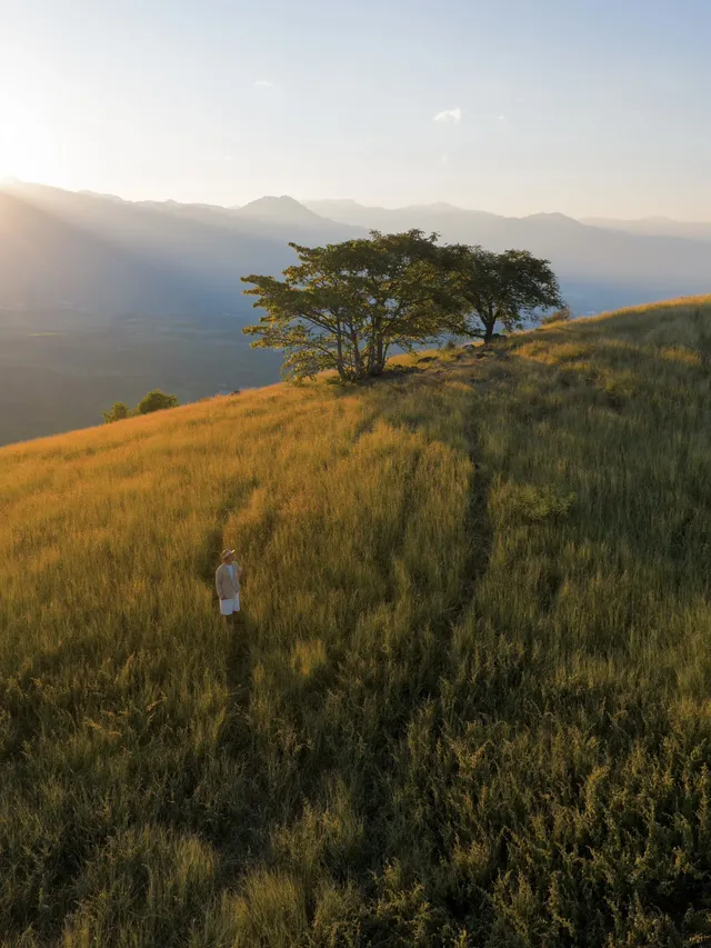不是非洲這是雲南人自己的薩王納草原~