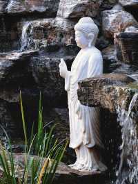 金秋寺廟C位出道保定這個小眾古寺的銀杏美哭了