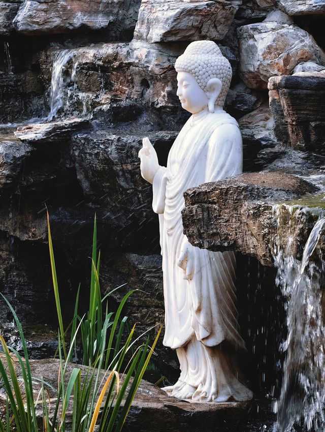 金秋寺廟C位出道保定這個小眾古寺的銀杏美哭了