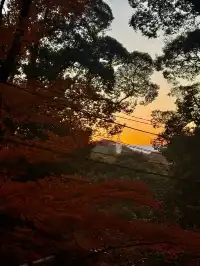 名古屋周邊|隱藏系絕美露營地