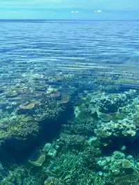 為了這10張圖 願意去100次昆士蘭