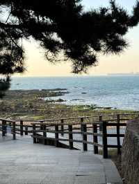 青島冬日Seawalk新路線太平角公園拍照攻略Get!