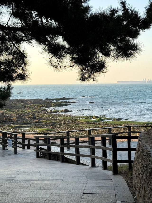 青島冬日Seawalk新路線太平角公園拍照攻略Get! 青島冬日Seawalk新路線太平角公園拍照攻略Get!