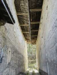 1天廈門包車遊 打卡超全景點