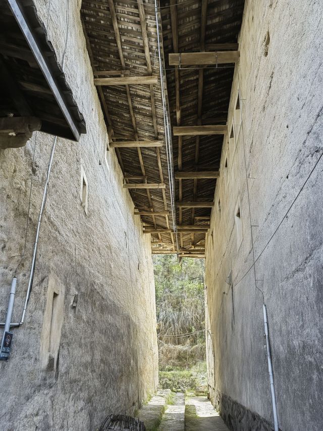 1天廈門包車遊 打卡超全景點 1天廈門包車遊 打卡超全景點