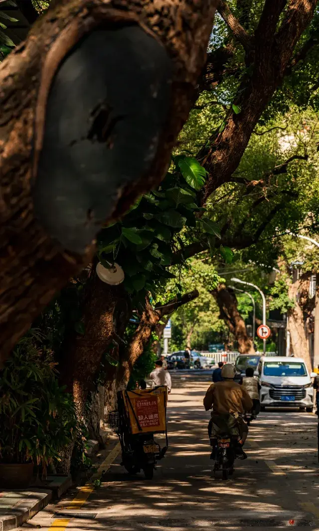 廈門拍照|在陽光鋪滿的信義路看發光的秋天
